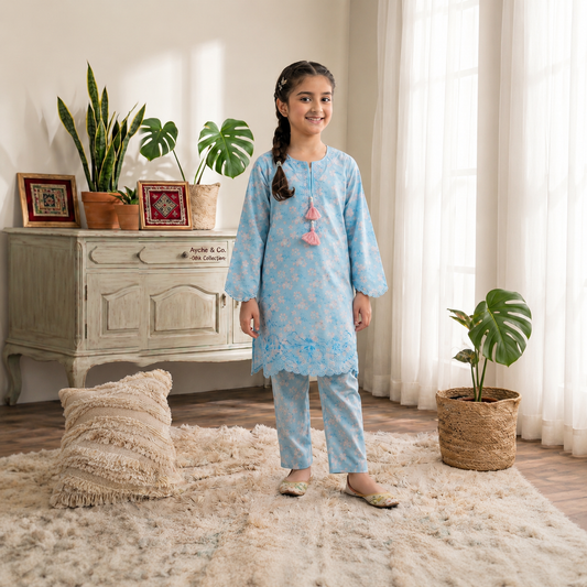 Daman Embroidery